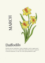 Load image into Gallery viewer, Daffodil
