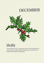 Load image into Gallery viewer, Holly
