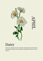 Load image into Gallery viewer, Daisy
