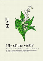 Load image into Gallery viewer, Lily of the Valley
