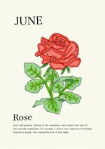 Load image into Gallery viewer, Rose
