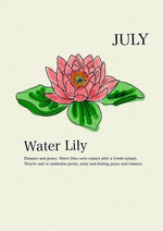 Load image into Gallery viewer, Waterlily
