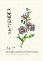 Load image into Gallery viewer, Morning Glory &amp; Aster
